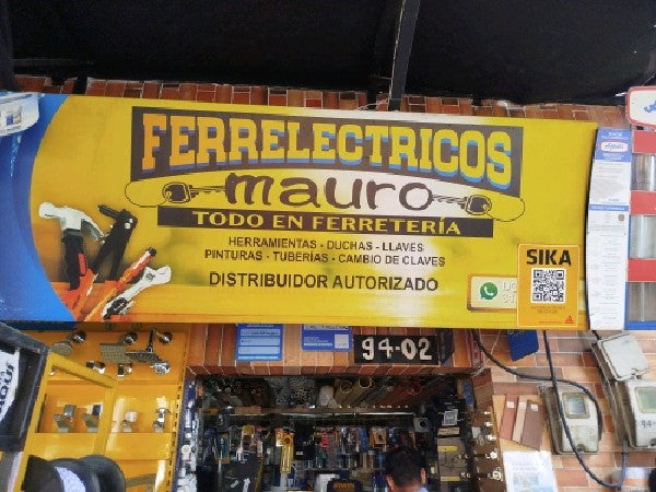 Ferreelectricos